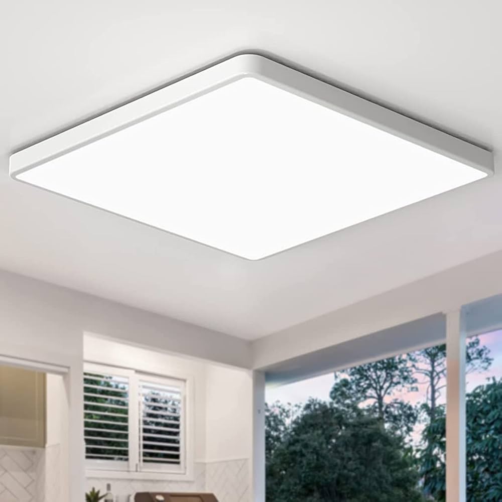 Ceiling Light